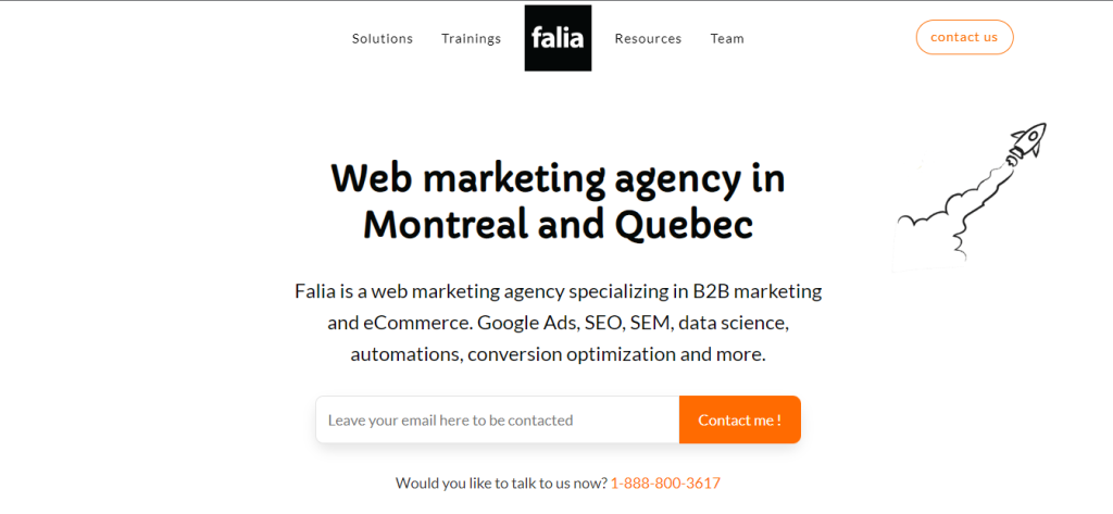 Falia- Digital Marketing Company