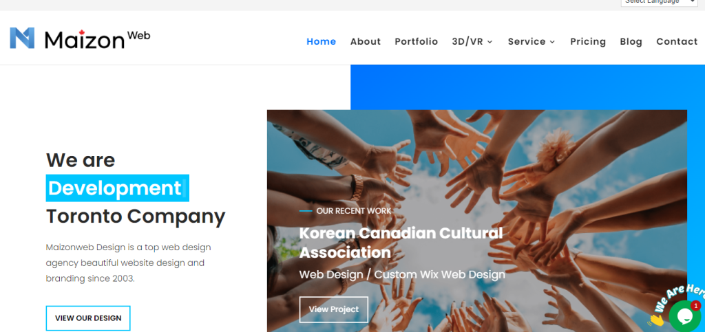 Maizon- web development company
