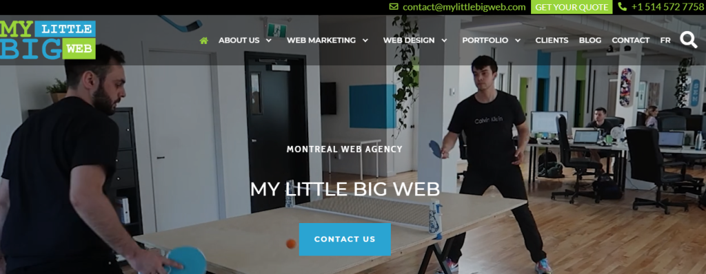My Little Big Web - seo companies in Montreal